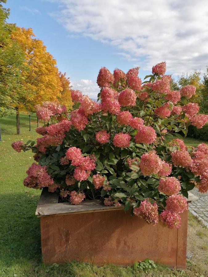 Ferienwohnung Schuhmann Mit Wintergarten Und Garten Therme Aquapulco Und Ikuna Erlebnispark, Zoo Schmiding 20 Min Mit Auto Entfernt Ab 3 Naechte Buchbar Hinzenbach Kültér fotó