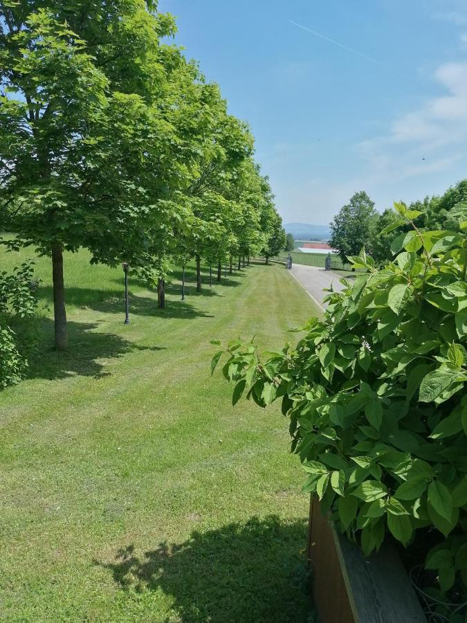 Ferienwohnung Schuhmann Mit Wintergarten Und Garten Therme Aquapulco Und Ikuna Erlebnispark, Zoo Schmiding 20 Min Mit Auto Entfernt Ab 3 Naechte Buchbar Hinzenbach Kültér fotó