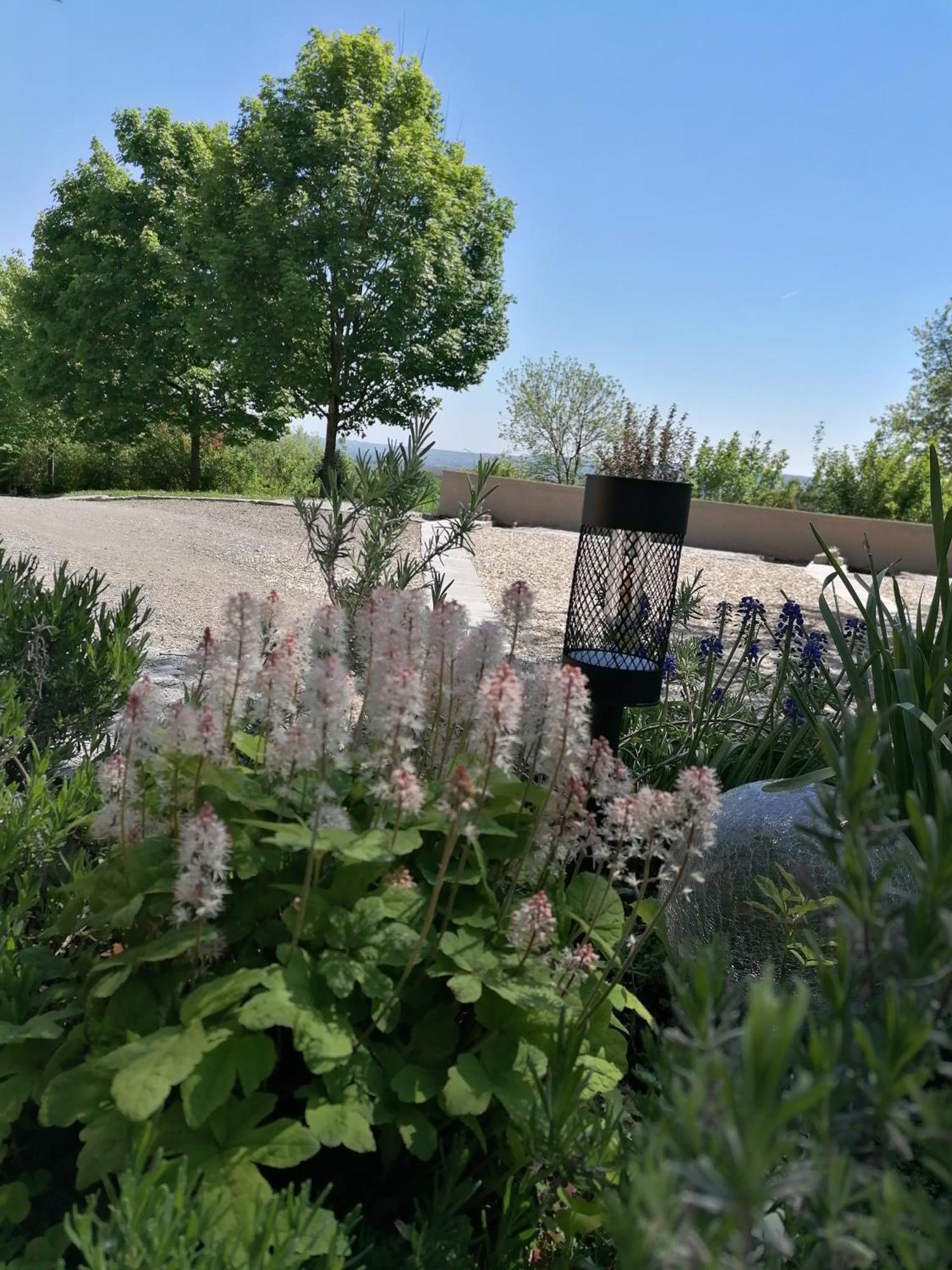 Ferienwohnung Schuhmann Mit Wintergarten Und Garten Therme Aquapulco Und Ikuna Erlebnispark, Zoo Schmiding 20 Min Mit Auto Entfernt Ab 3 Naechte Buchbar Hinzenbach Kültér fotó